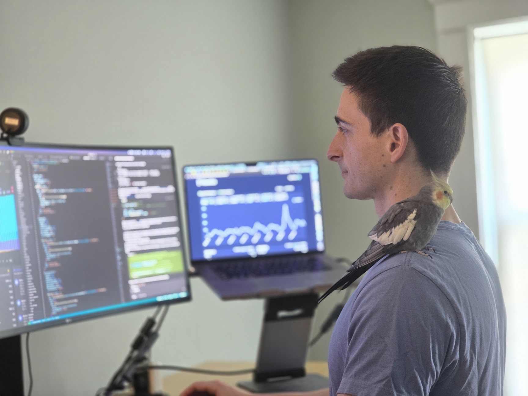 Working at my desk with BB the pet cockatiel on my shoulder